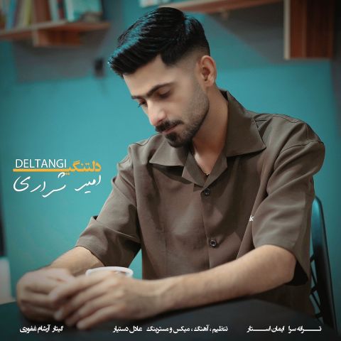 آهنگ جدید امیر شراری به نام دلتنگی